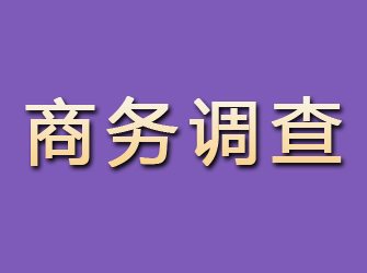 那坡商务调查